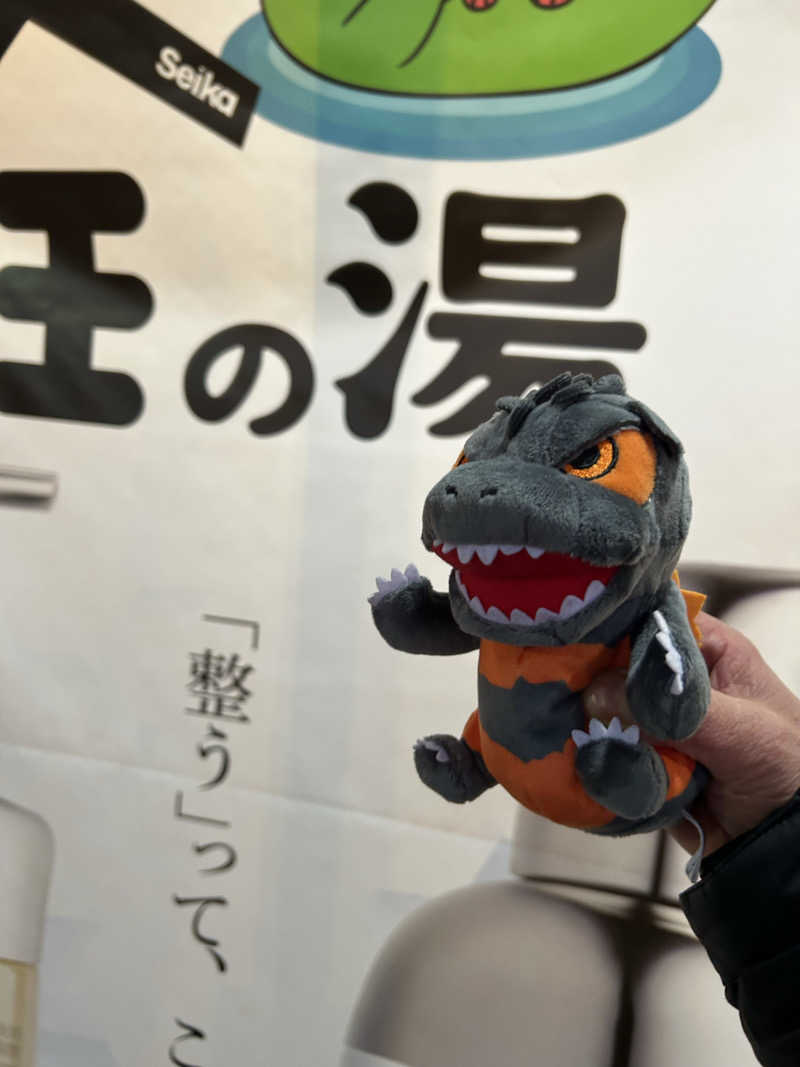 ラッコちゃん🦦さんの湯乃泉 草加健康センターのサ活写真