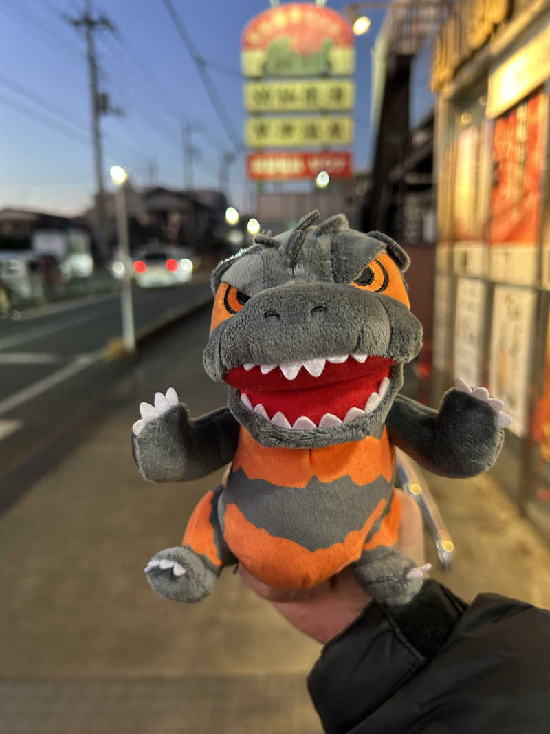 ラッコちゃん🦦さんの湯乃泉 草加健康センターのサ活写真