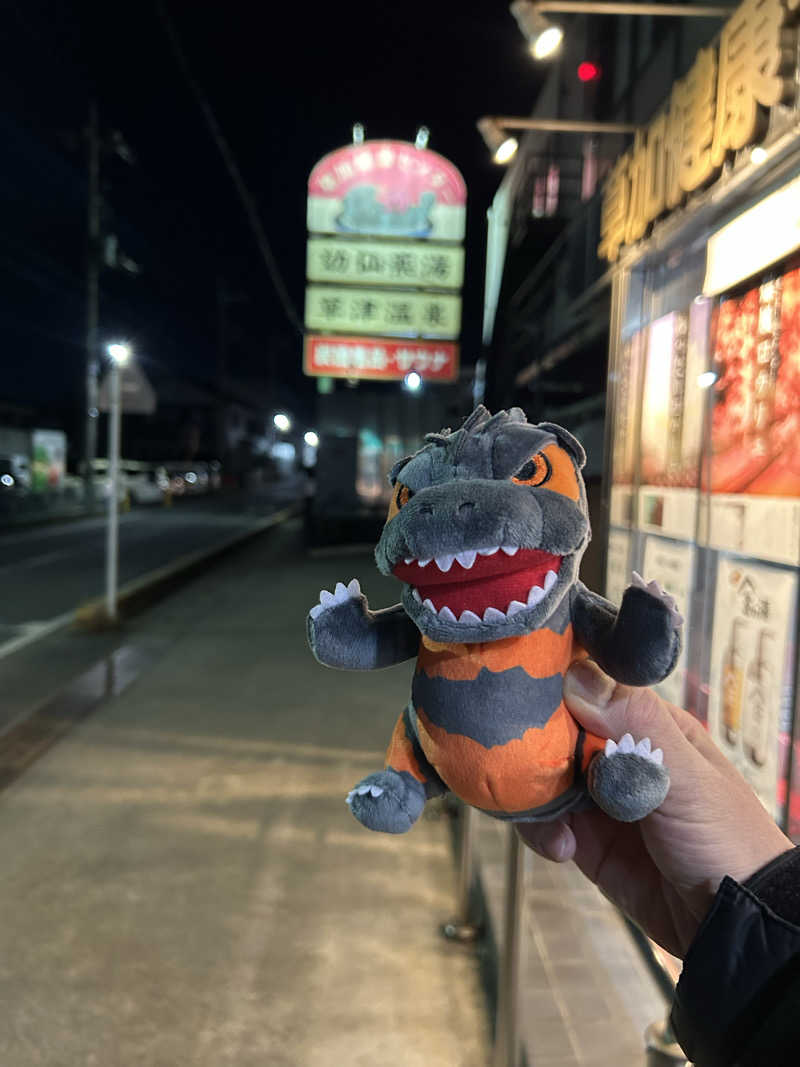 ラッコちゃん🦦さんの湯乃泉 草加健康センターのサ活写真