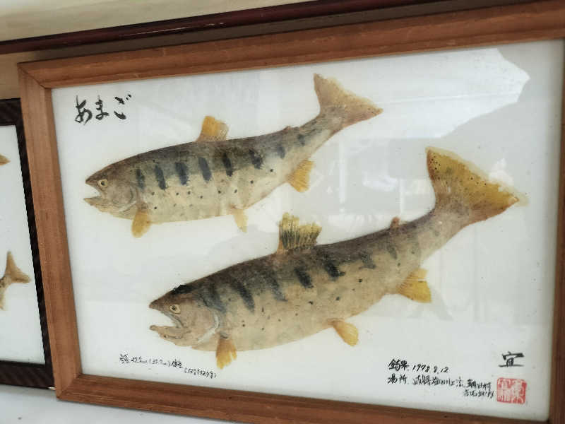 ShibaShin@Saunaさんの美輝の里 スパー美輝のサ活写真