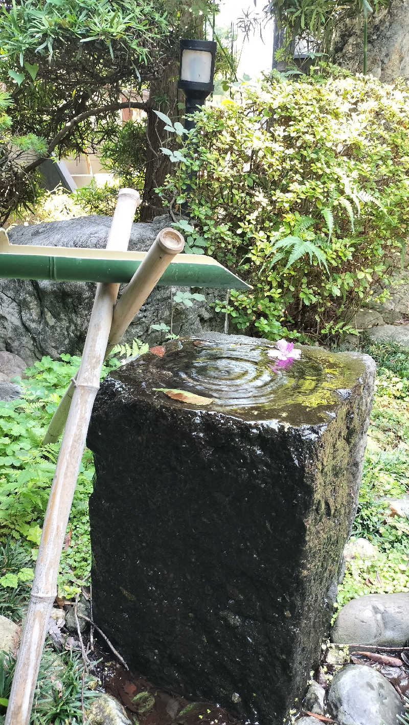 ShibaShin@Saunaさんの見沼天然温泉 小春日和のサ活写真