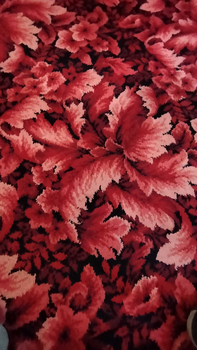 ShibaShin@Saunaさんの平和湯のサ活写真