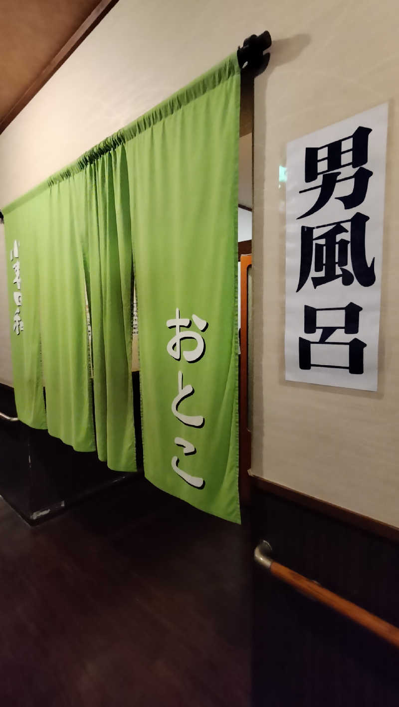 ShibaShin@Saunaさんの見沼天然温泉 小春日和のサ活写真
