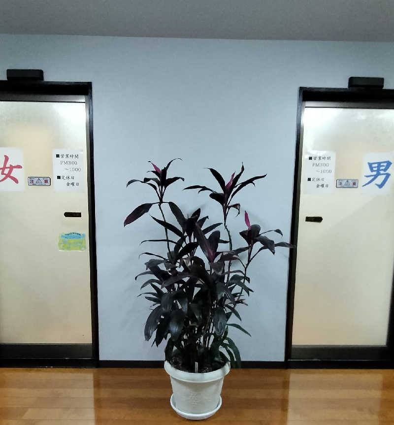 ShibaShin@Saunaさんの冨美の湯のサ活写真