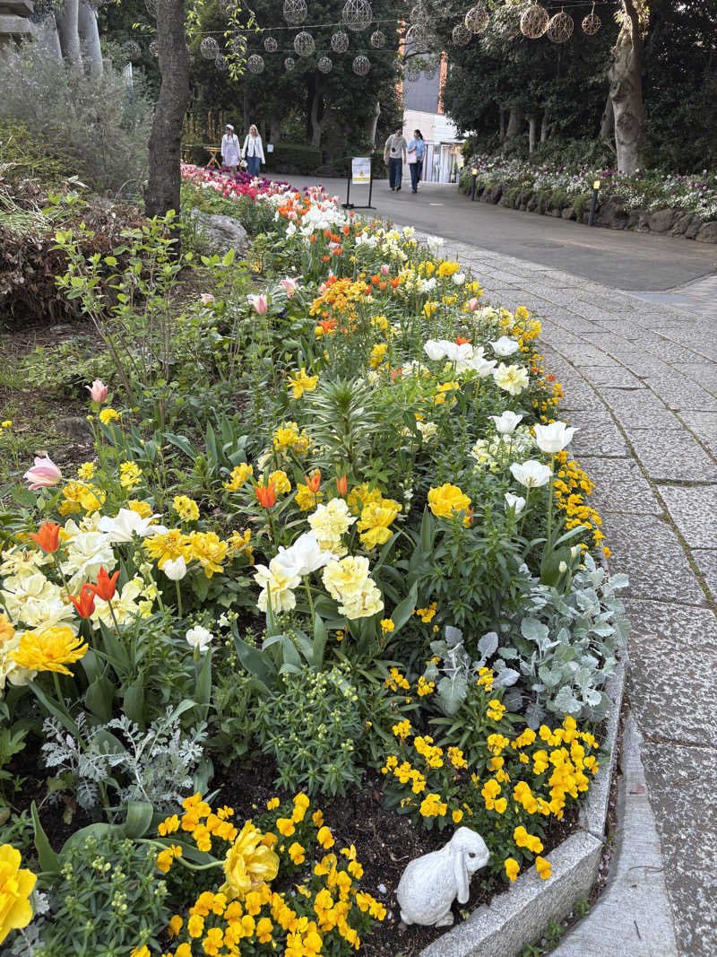 msanさんのよみうりランド眺望温泉 花景の湯のサ活写真