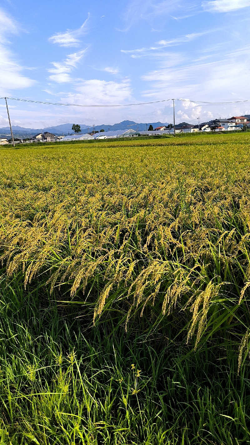 akiさんの百目鬼温泉のサ活写真