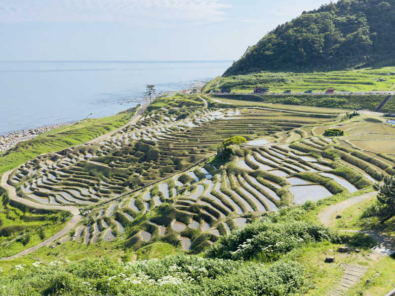 樹（いつき）さんの和倉温泉総湯のサ活写真
