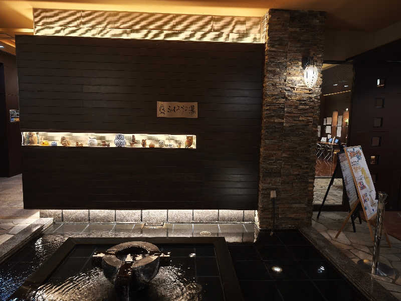 ライス🍚さんのふくろうの湯のサ活写真