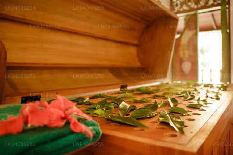 アオバさんのSiddhalepa Clinic Colombo 7のサ活写真