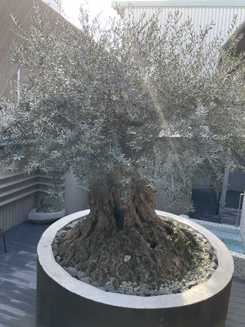 カナリーexさんのsauna kolme kylä (サウナ コルメ キュラ)のサ活写真