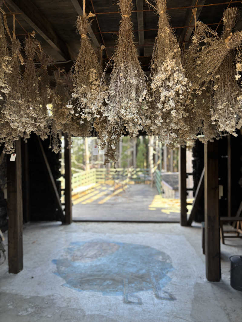 ヒョッティさんのしぇろくまサウナ&カフェのサ活写真