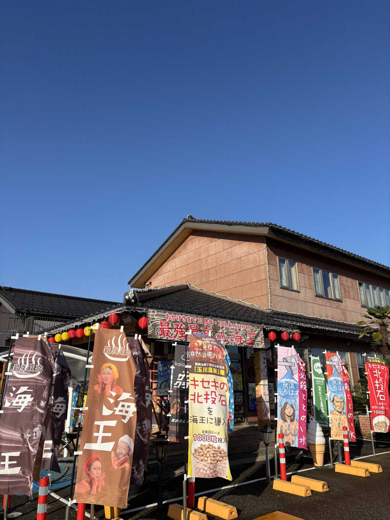 ヒョッティさんの天然温泉 海王のサ活写真