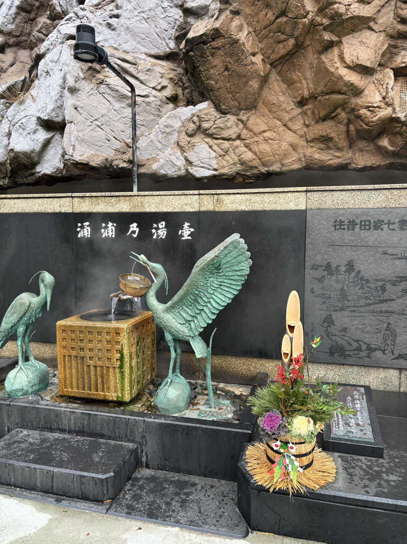 ヒョッティさんのTAOYA和倉(湯快リゾートプレミアム 和倉温泉 金波荘)のサ活写真