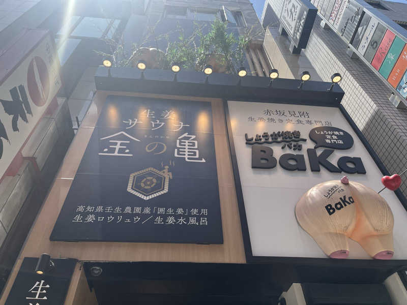 ゆっちょさんの生姜サウナ 金の亀のサ活写真