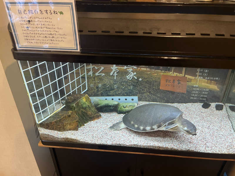 ゆっちょさんの松本湯のサ活写真