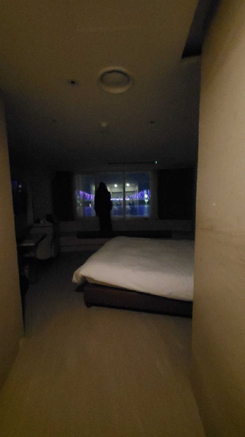 ゆーぽっぽさんのホテル アクア パレスのサ活写真