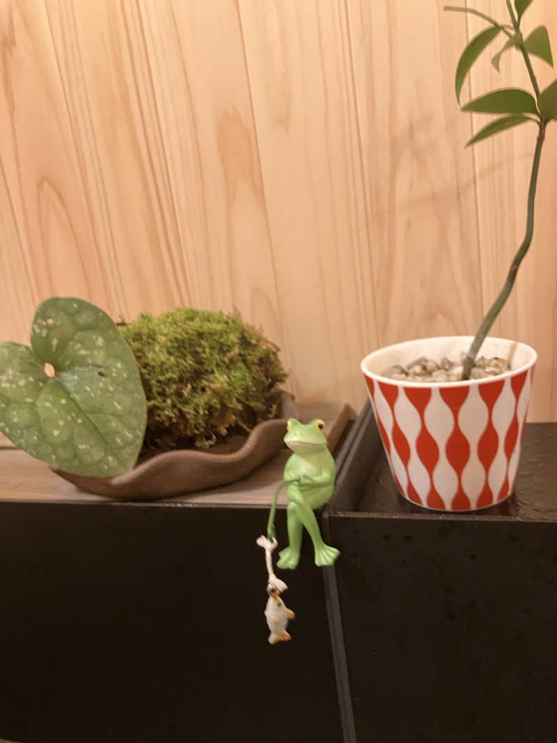 イエローサブマリンさんの禅サウナ in Temple Camp 大泰寺(テントサウナ)のサ活写真