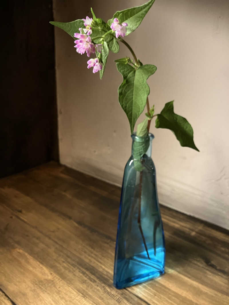 イエローサブマリンさんのパブリックハウス アンド サウナ 久米屋のサ活写真