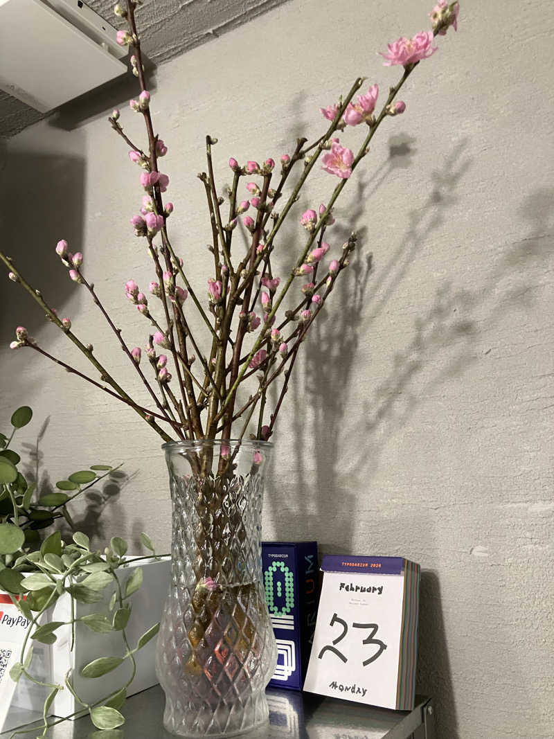 イエローサブマリンさんのmuiのサ活写真