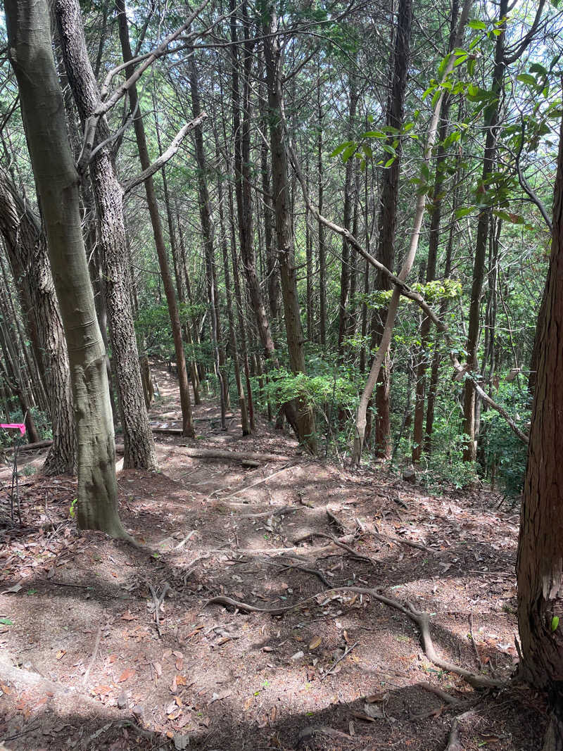 初心者サウナーさんのスパシーレ祇園のサ活写真