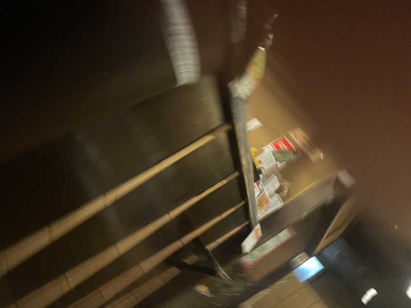 けけさんの深大寺天然温泉 湯守の里のサ活写真