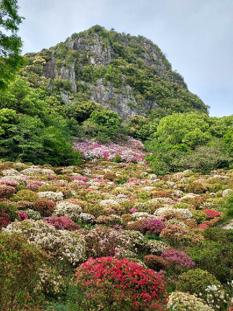 ポンソさんの御船山楽園ホテル  らかんの湯のサ活写真