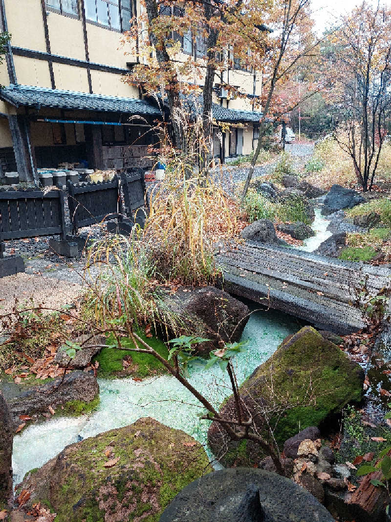 ポンソさんの寒の地獄旅館のサ活写真