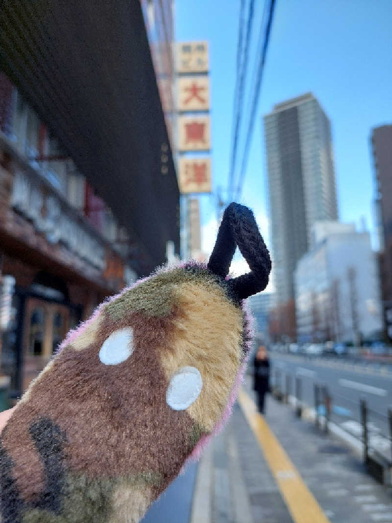 ポンソさんの大東洋レディススパのサ活写真