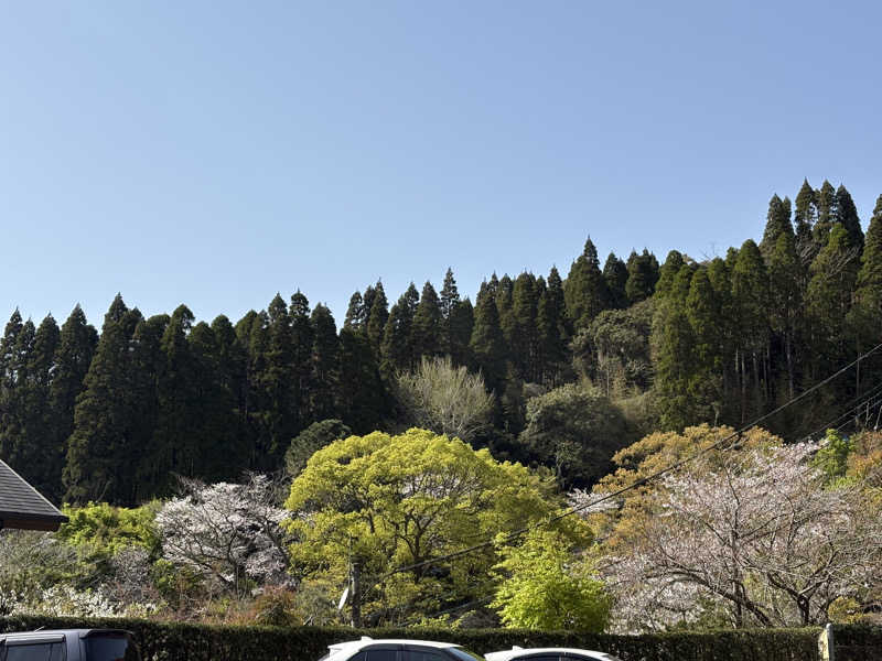 サウさんのせせらぎの湯 花水木のサ活写真