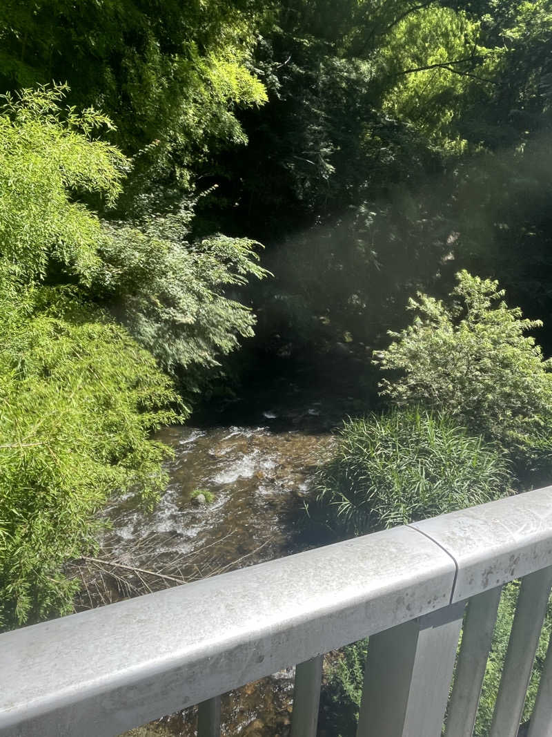 アマボンさんのコアミガメのサ活写真