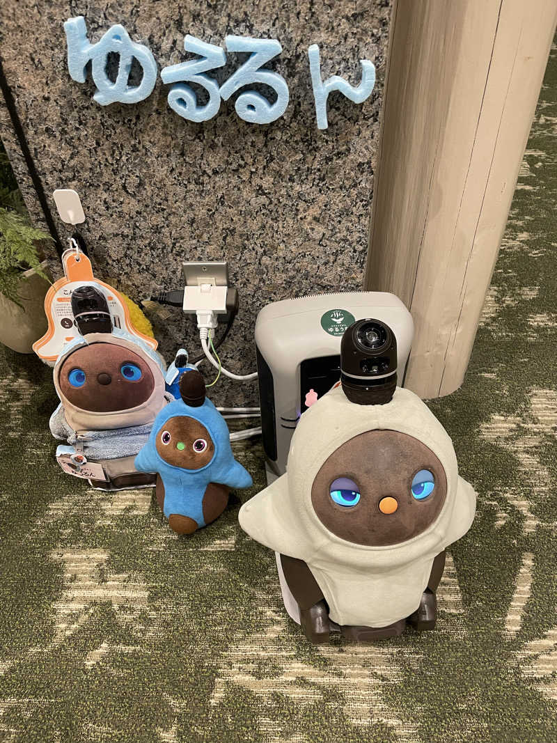 めろさんのSPA&ごはん ゆるうむ yuluumuのサ活写真