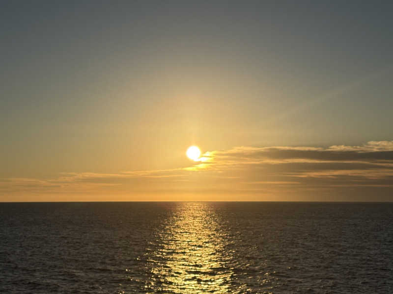 ともまるさんのさんふらわあ ふらの(商船三井さんふらわあ)のサ活写真
