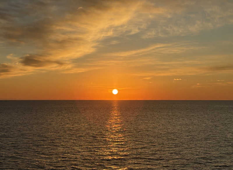 ともまるさんのさんふらわあ ふらの(商船三井さんふらわあ)のサ活写真