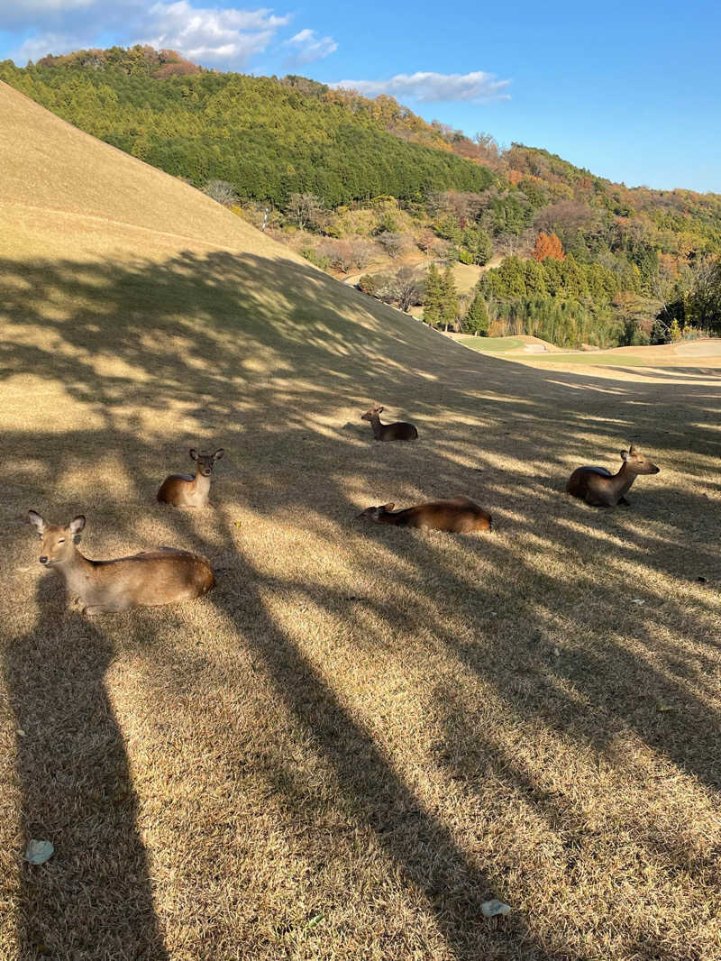 JD祭りさんの天然温泉 小田原コロナの湯のサ活写真