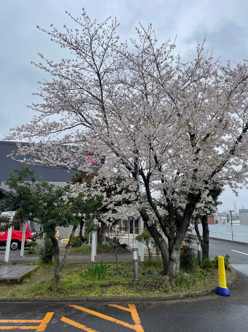 JD祭りさんの天然温泉 小田原コロナの湯のサ活写真