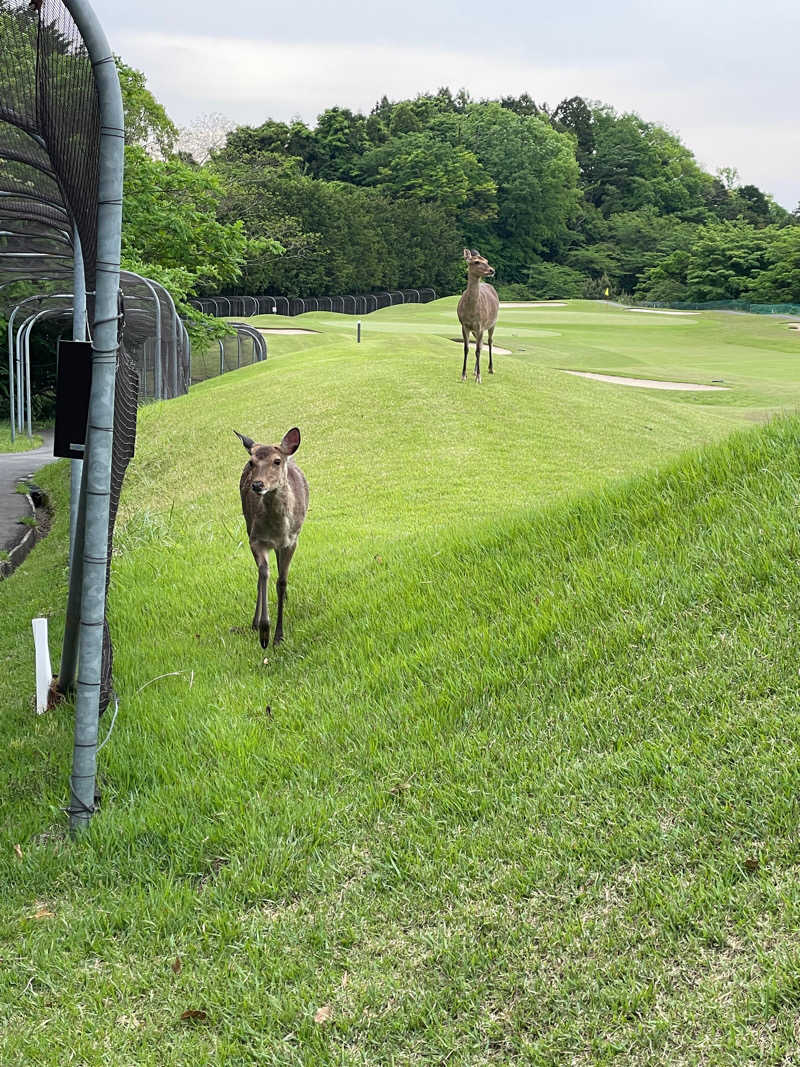 JD祭りさんの天然温泉 小田原コロナの湯のサ活写真