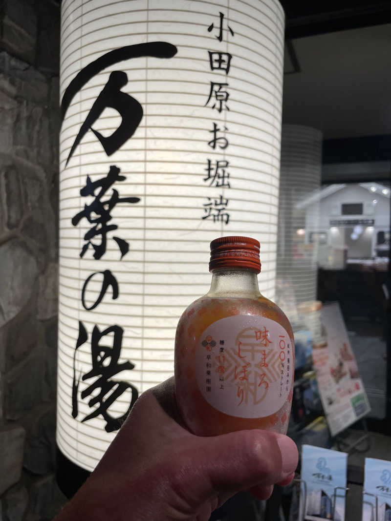 JD祭りさんの小田原お堀端 万葉の湯のサ活写真