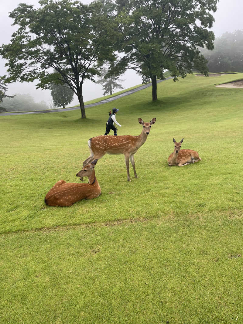 JD祭りさんの天然温泉 小田原コロナの湯のサ活写真