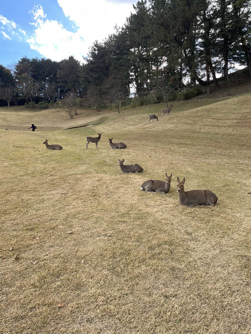 JD祭りさんの天然温泉 小田原コロナの湯のサ活写真