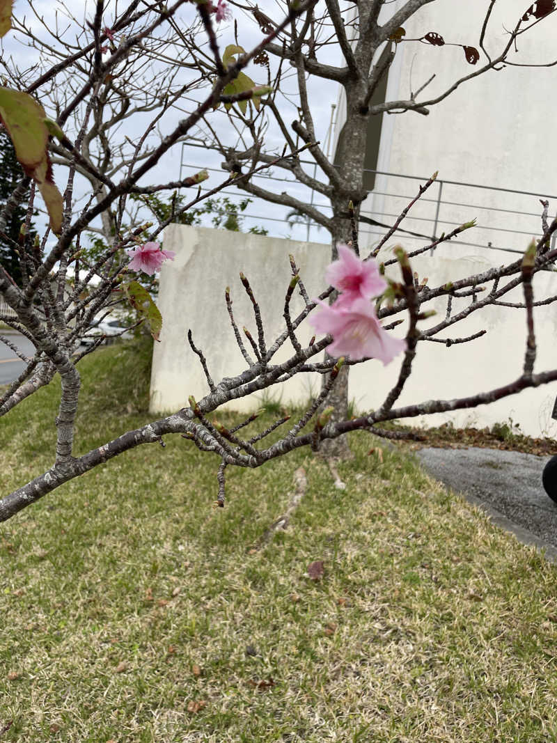 JD祭りさんのEMウェルネス暮らしの発酵ライフスタイルリゾートスパのサ活写真