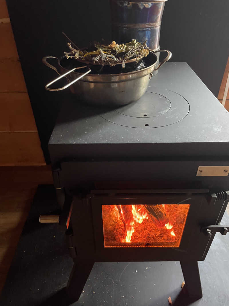 JD祭りさんの山賊サウナのサ活写真