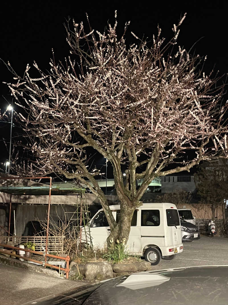 JD祭りさんの山賊サウナのサ活写真