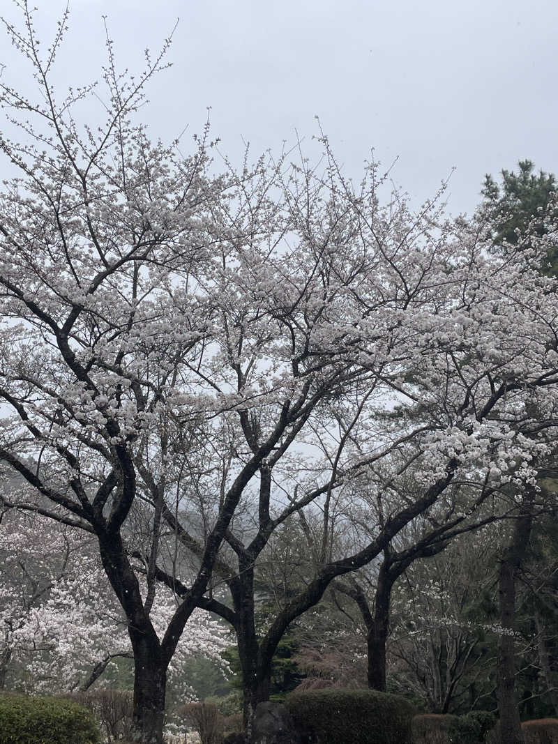 JD祭りさんの山賊サウナのサ活写真