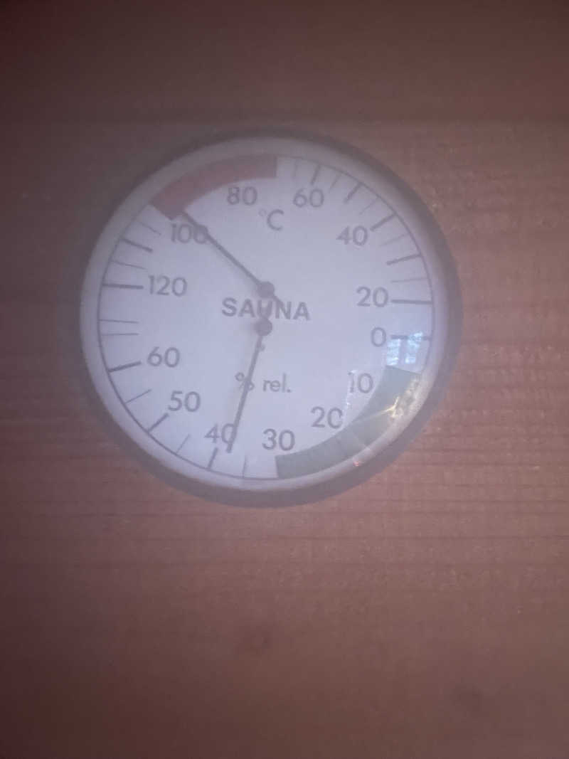 JD祭りさんの山賊サウナのサ活写真