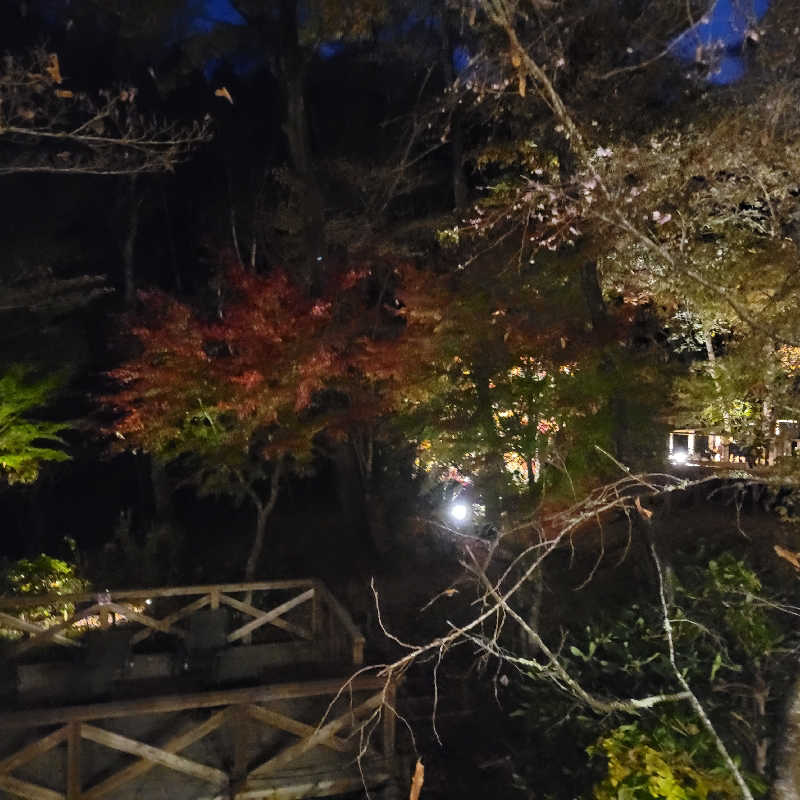 ガチョクさんのモダン湯治 おんりーゆーのサ活写真