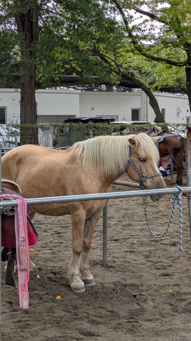 snowさんのアクアセラピ温泉 森ランドのサ活写真