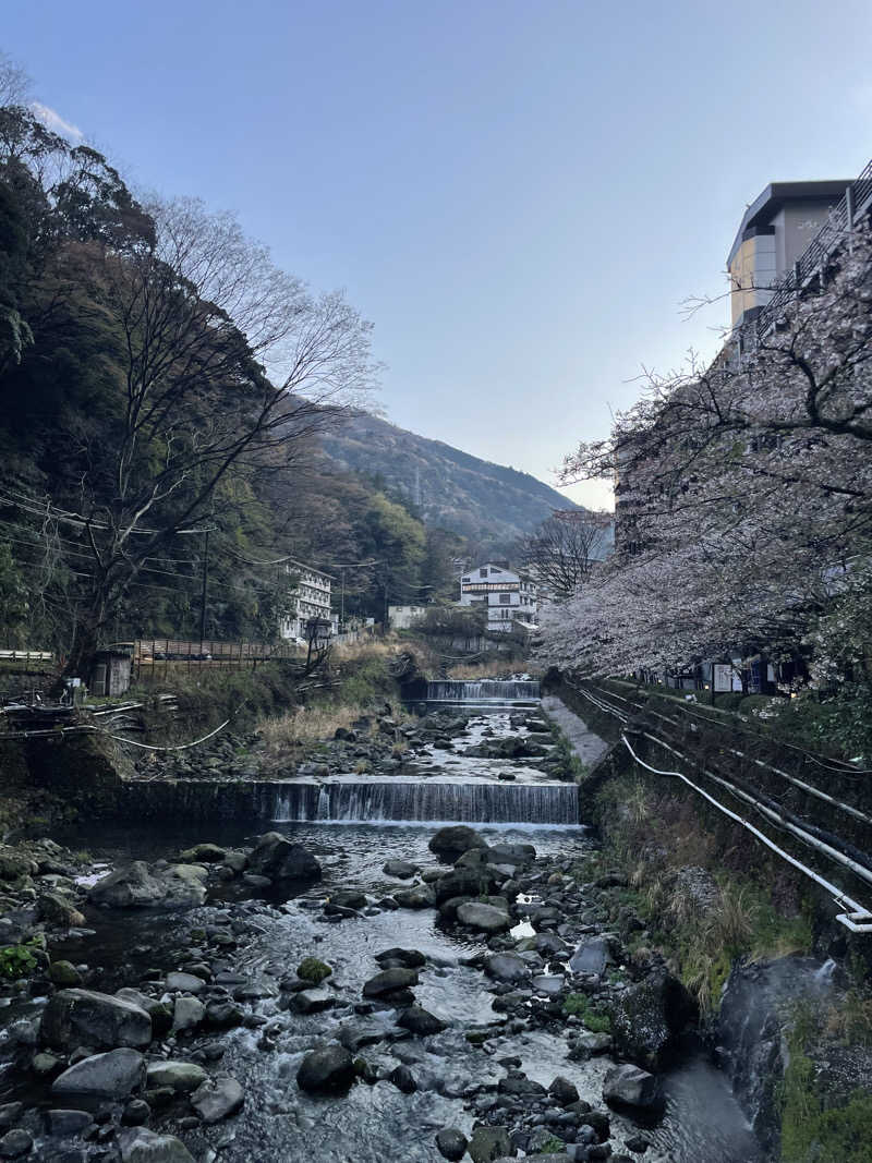 2027年に教員になる大学生さんの箱根湯本温泉 天成園のサ活写真