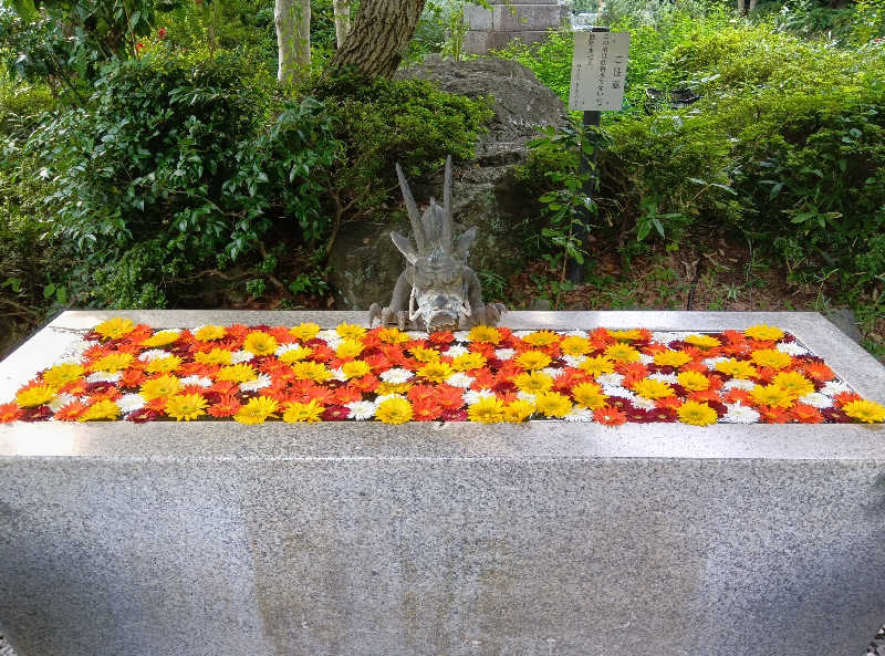 サウナ初心者🔰さんのよみうりランド眺望温泉 花景の湯のサ活写真