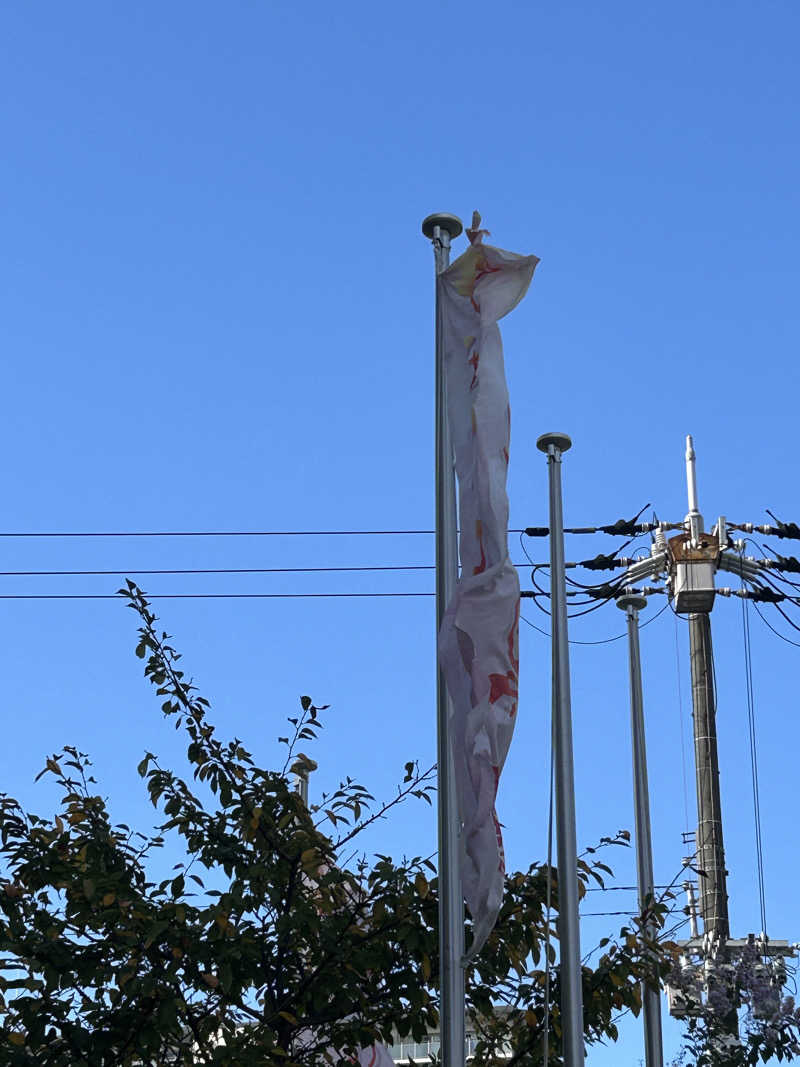 湿り犬さんのひなたの湯のサ活写真
