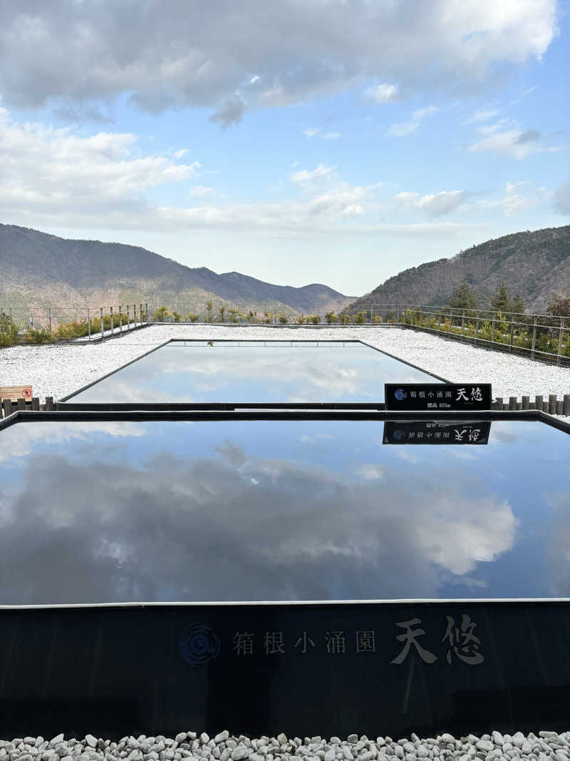 ででさんの箱根小涌園 天悠のサ活写真